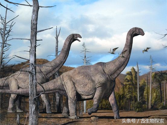 恐龙黄河巨龙,史前中国十大恐龙