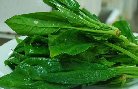 女性同胞的注意事项,女同胞要注意什么