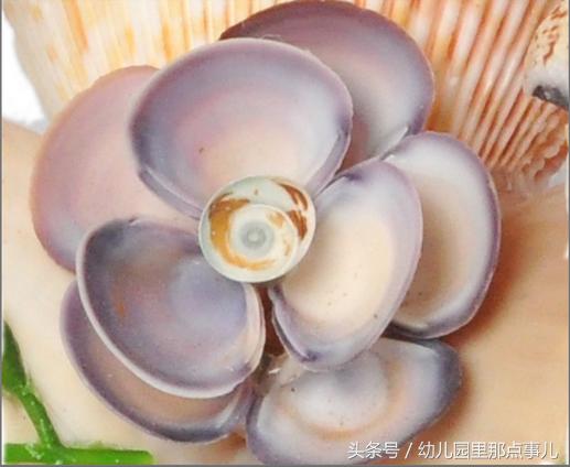 幼儿园的亲子手工环保,幼儿园亲子手工海洋作品