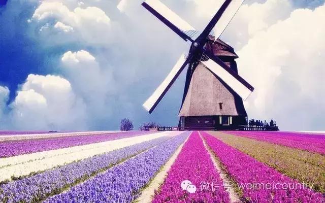 怎么玩好农业众筹,众筹农业模式