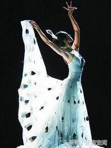 孔雀毛寓意什么意思,孔雀毛的寓意及象征风水