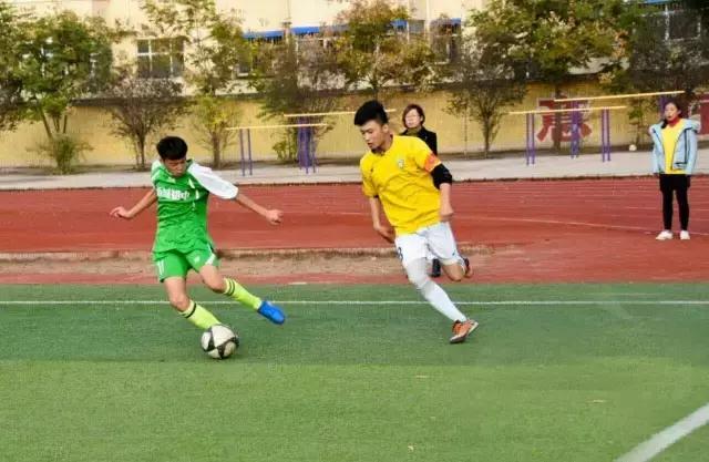 靳三涛、文新红丨花落舜乡