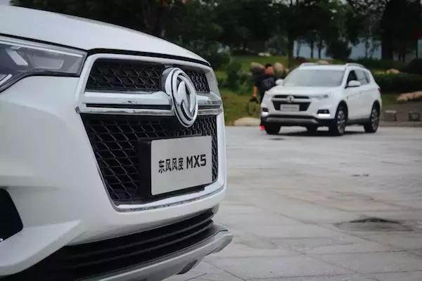 老树开新花七绝,老树开新花枯树发新芽