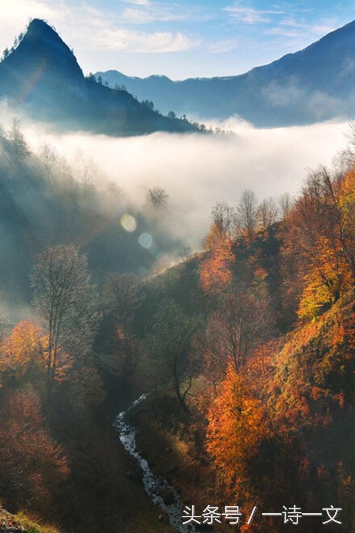 《远山的呼喚》飘下一片落叶，如飘下一片天空的云朵