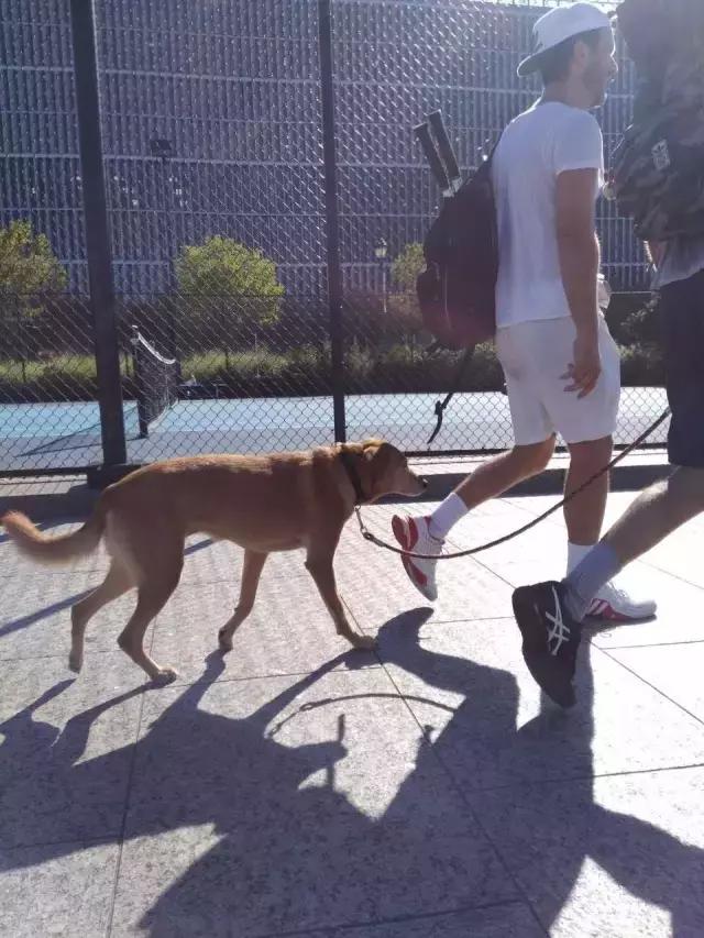 米国的历史事件,米国犯罪故事结局