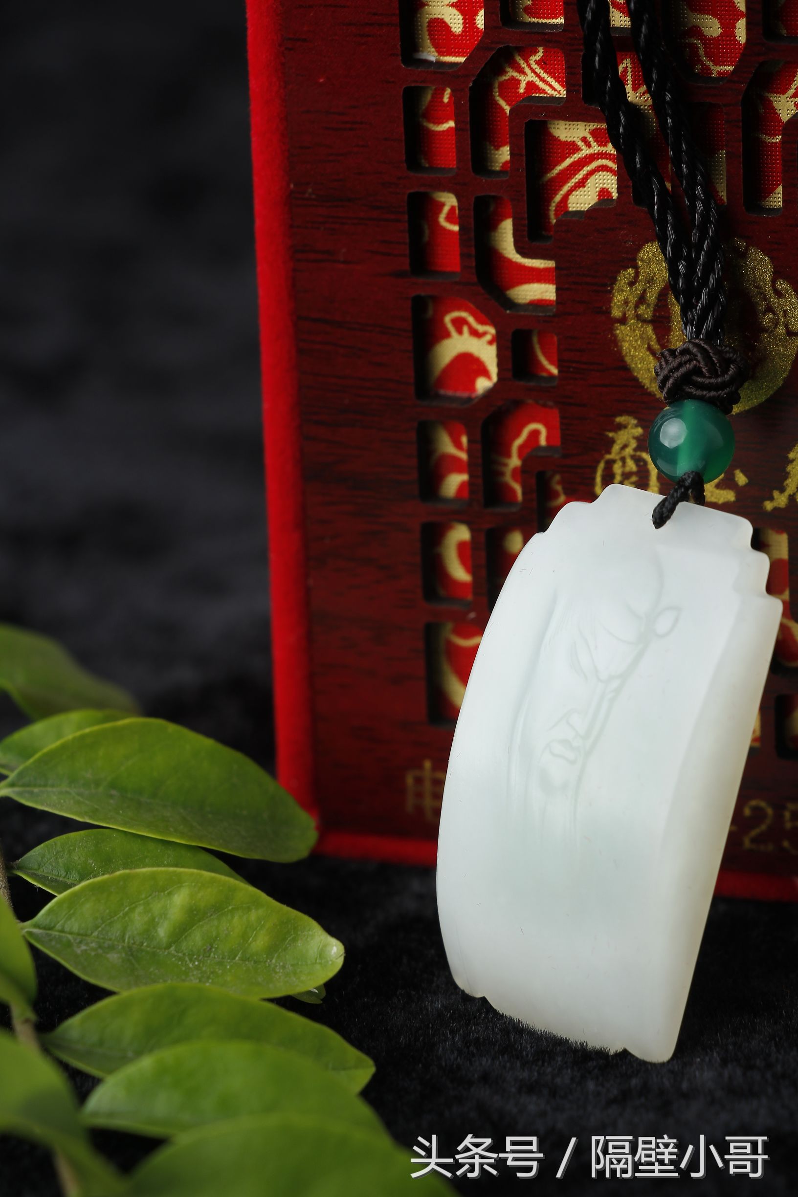 秦岭深处的瑰宝,秦岭奇珍异宝