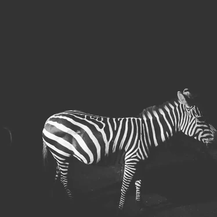 我都这么拼了，你快点学起来好吗？告别单身不是梦！