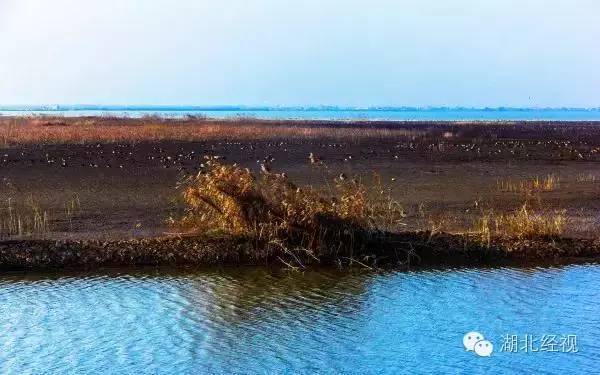 武汉秋天不可错过的美景,武汉踏春打卡地