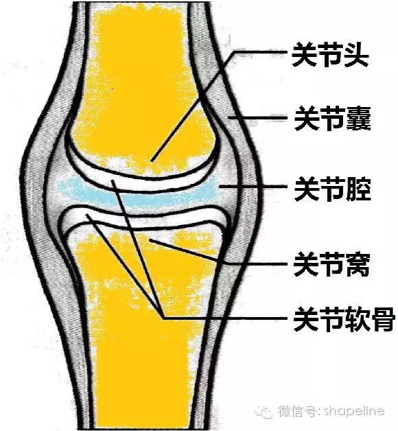 健身后全身关节响,健身时关节响什么原因
