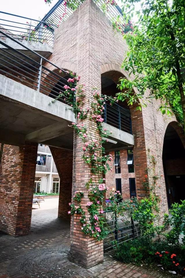 霍格沃茨学校是什么学校,北大霍格沃兹学校