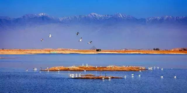 只有新疆人才能看懂的视频,只有1%的人才能看懂的东西