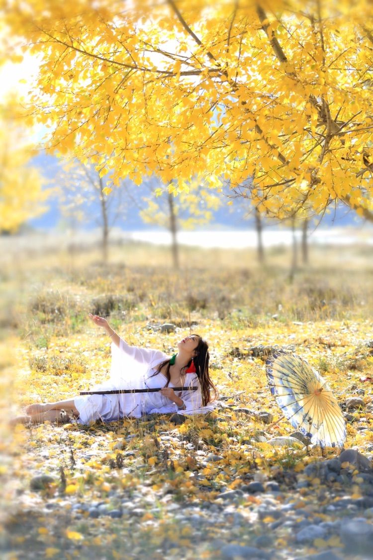 我在秋天等你是什么歌,我在秋天等你美到心碎散文