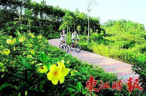 大亚湾滨海绿道最新视频,沿海绿道惠州