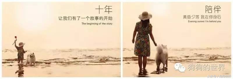 狗狗想呕吐却吐不出来什么原因,狗狗呕吐隔几天吐一次