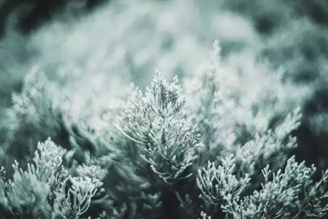 疯子charles课怎么样,疯子摄影师