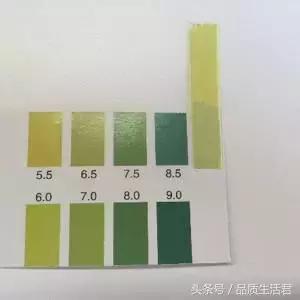 牙膏届的网红款到底怎么样?11款评测给你看