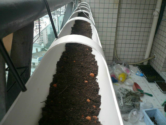 大叔用pvc管在阳台种菜7年,江苏人巧用pvc管阳台种菜