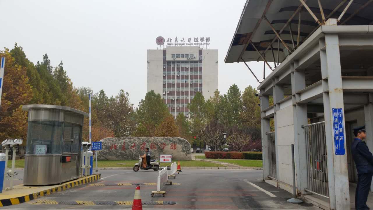 走进北师大,走进京师校园