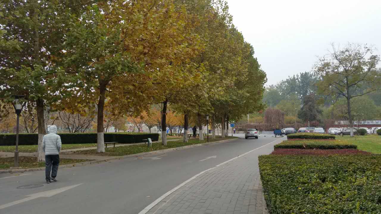 走进北师大,走进京师校园