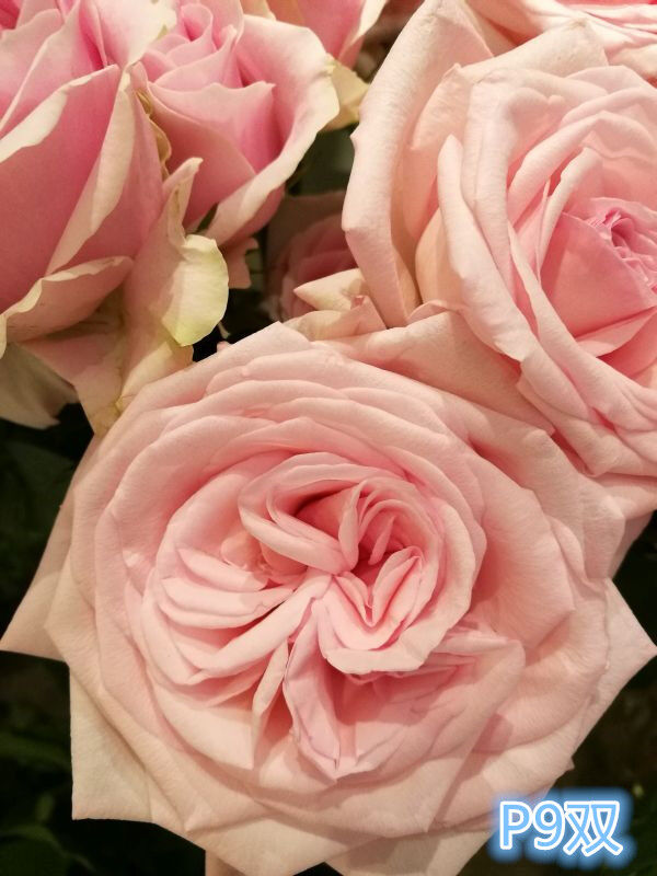 小米5s还值不值得入手,小米5s还值得入手么