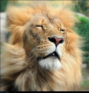 第一次相亲有必要借好车吗,第一次相亲买车