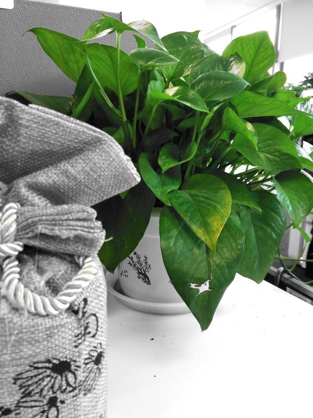 中兴天机7max裸眼3d软件,中兴天机7max可以拍3d视频吗