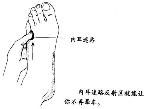 超全面防晕车攻略,坐大巴防晕车小妙招