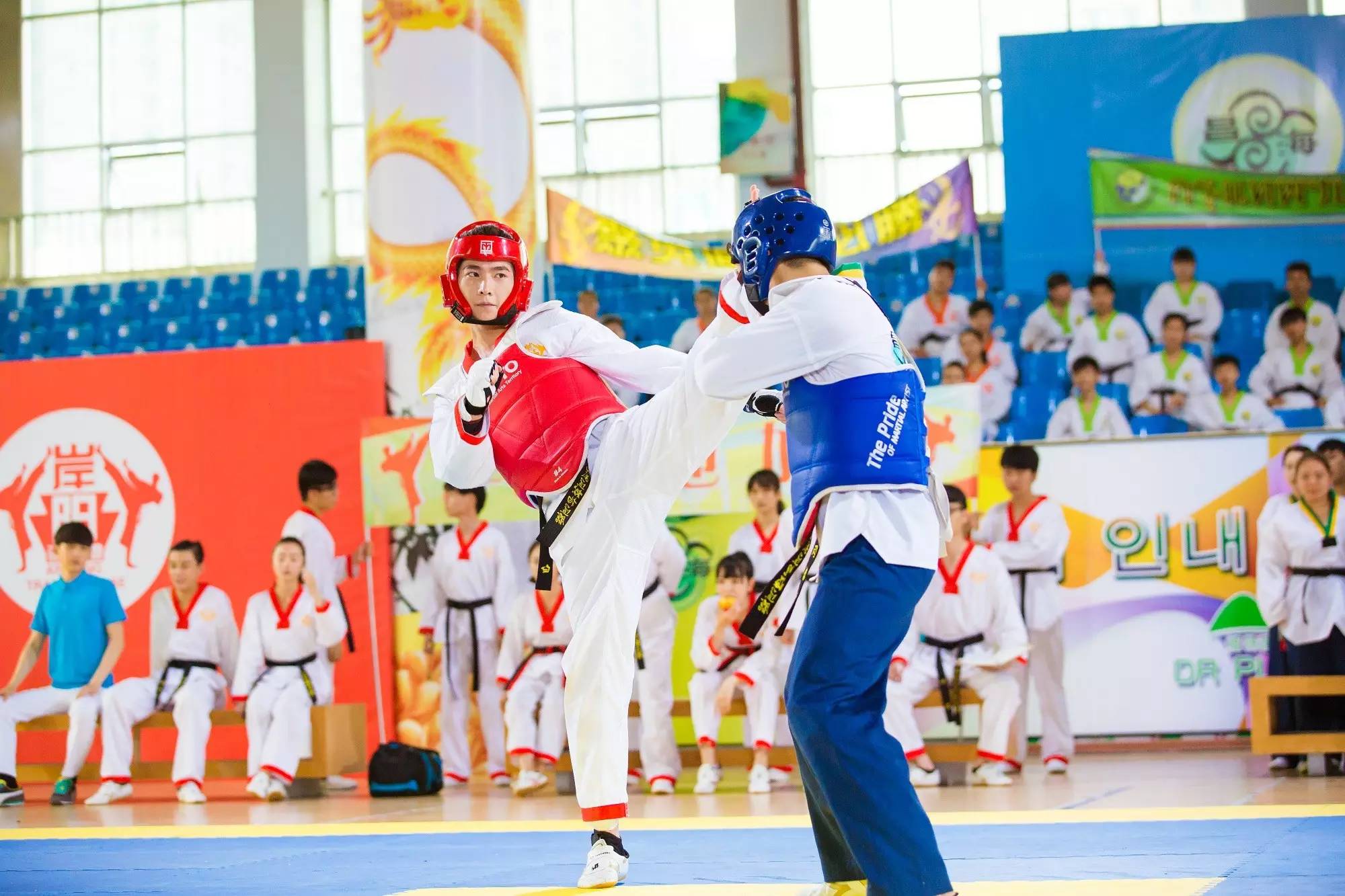 看个电视就要学武术,你咋不上天呢?