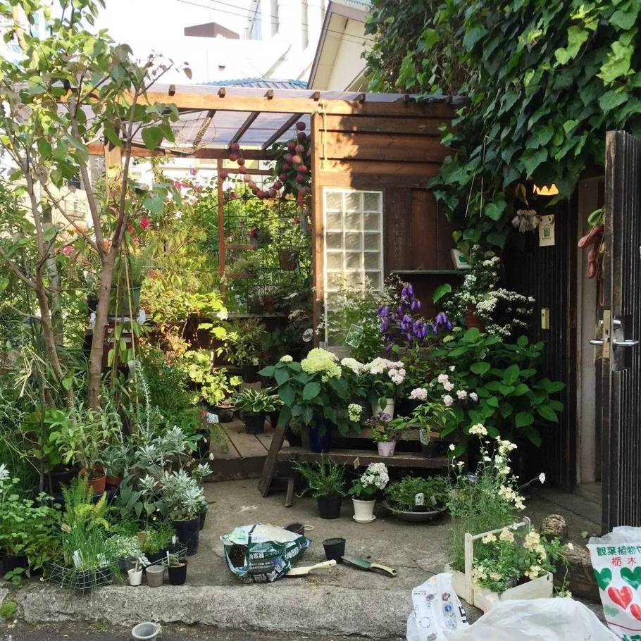 十万步走出的东京花店