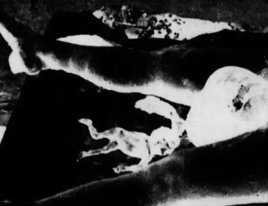 慈禧太后死后诈尸是真的吗,死后诈尸怎么回事