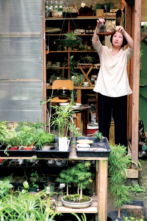 把苔藓做成艺术品,苔藓微盆景用装饰石