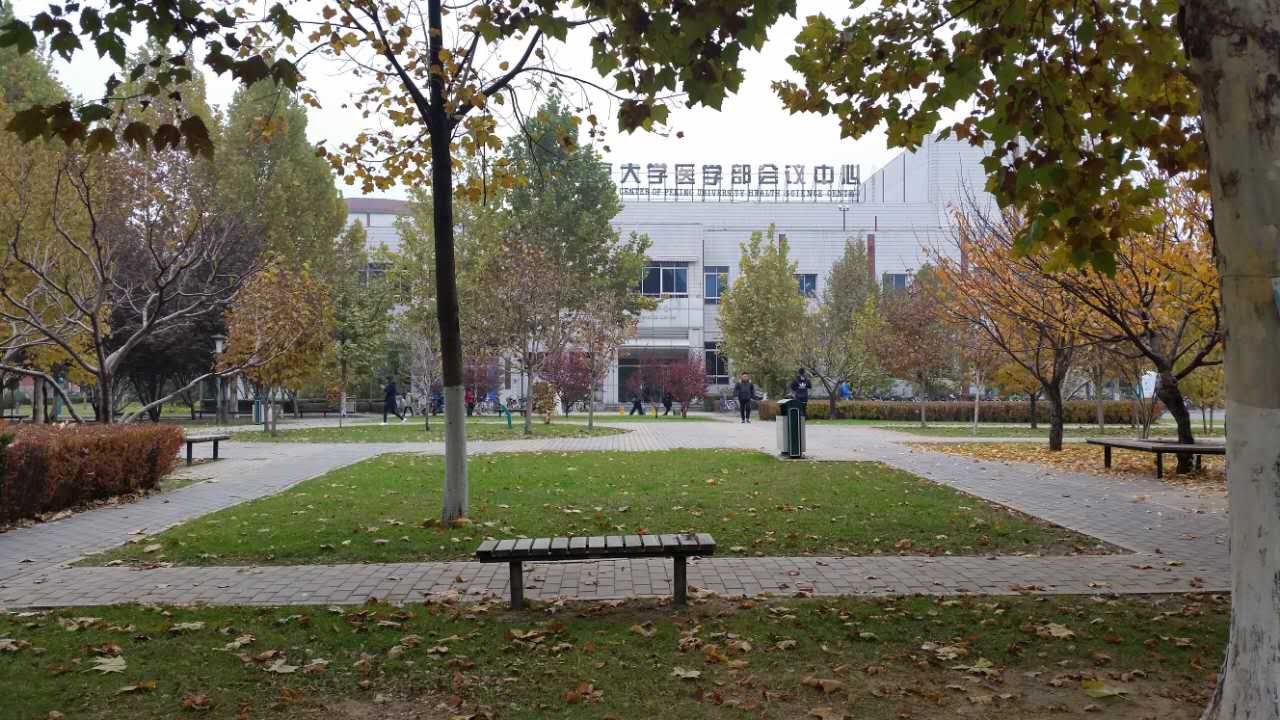 走进北师大,走进京师校园