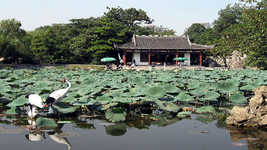 南京值得去玩的地方不需要预约,南京哪些地方不推荐去旅游