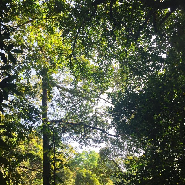 把时间还给上帝，我只要普吉岛的阳光海滩