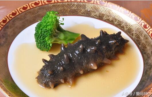 揭秘海参的吃法和营养价值