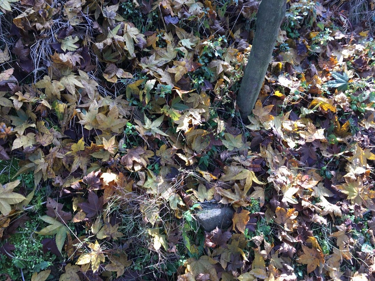 奉化溪口镇栖霞古道,宁波奉化旅游攻略完整版