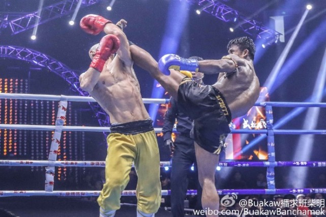 一龙叫嚣泰森,一龙叫嚣奇马耶夫