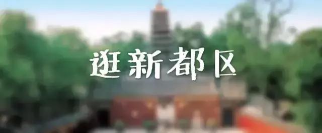 西柚记优惠,西柚记旅游