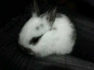 超皮秒激光祛斑2022价目表,激光皮秒祛斑一到七天变化图