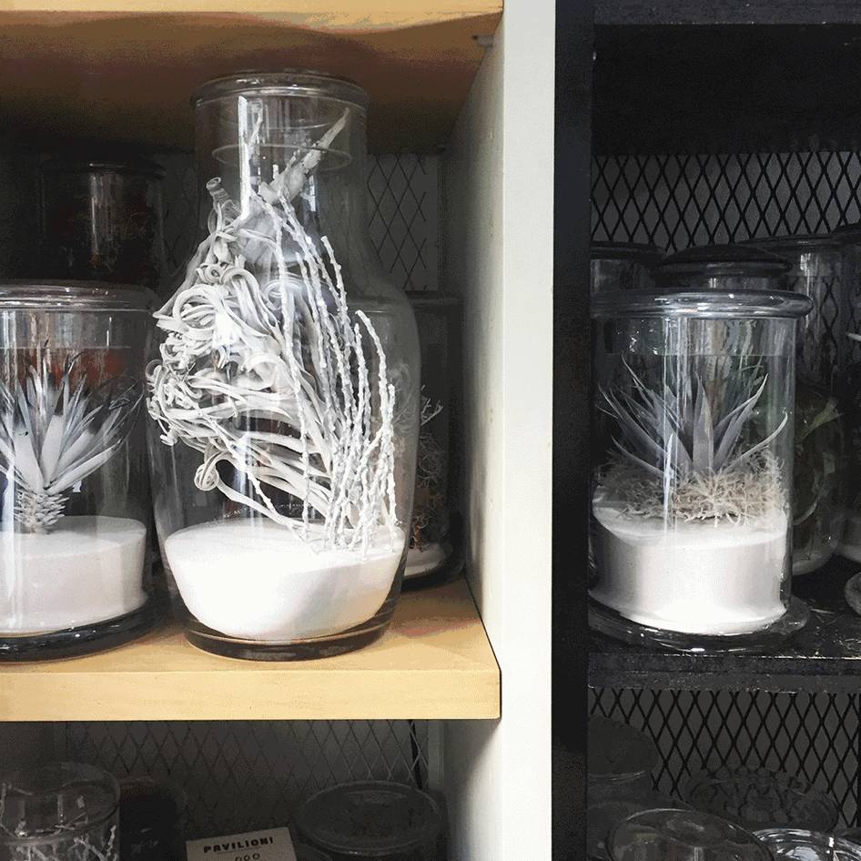 东京花店,东京南青山花店