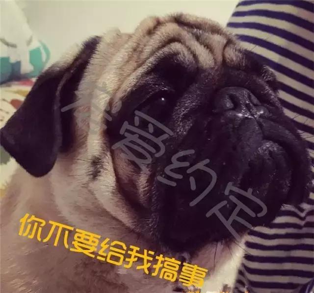 千万不要点开原声是什么梗,千万不要点开原声好吗