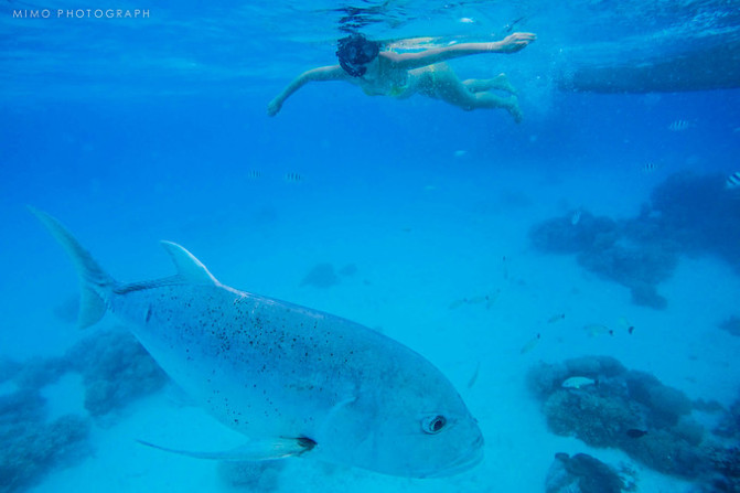 库克，上帝最秘密的存在