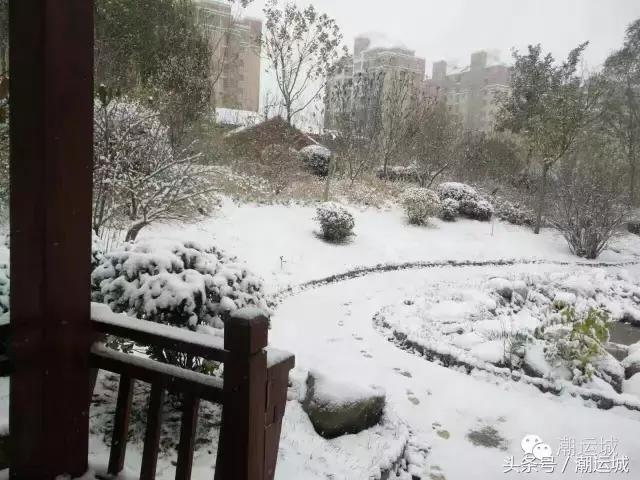 运城雪景有多美,山西省运城市第一场雪