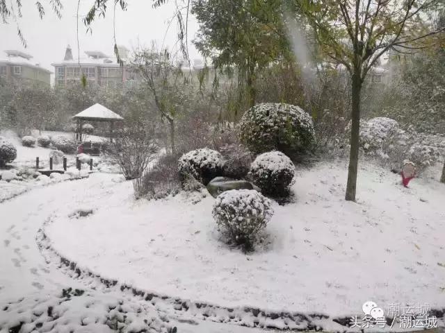运城雪景有多美,山西省运城市第一场雪