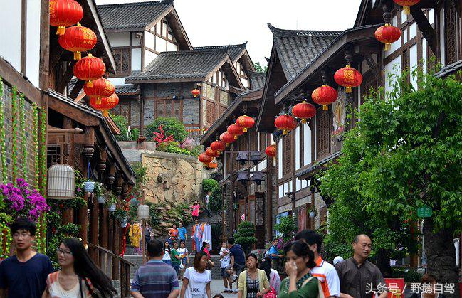 新疆野鹅自驾游视频,野鹅圣诞节自驾游