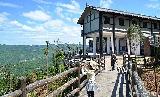 新疆野鹅自驾游视频,野鹅圣诞节自驾游