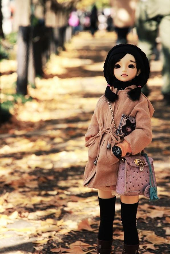 京都银杏图虫旅行,手绘研学旅游日记