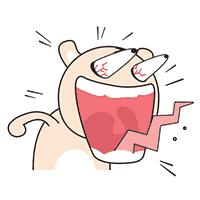 优步盗刷美国信用卡,优步盗刷