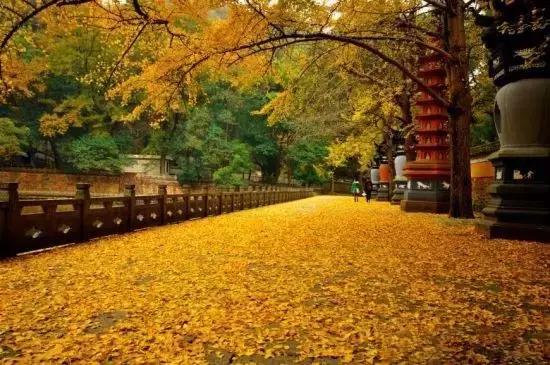宁波天童禅寺睡佛,宁波天童寺庙里