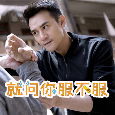 王凯靖王帅气,王凯王鸥表情包